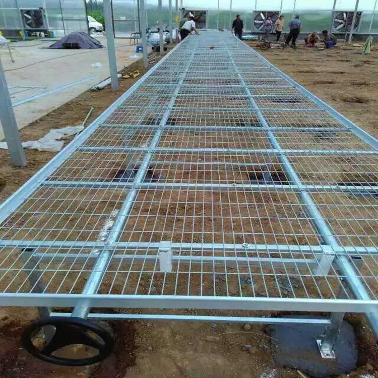 苗床網片圖片2
